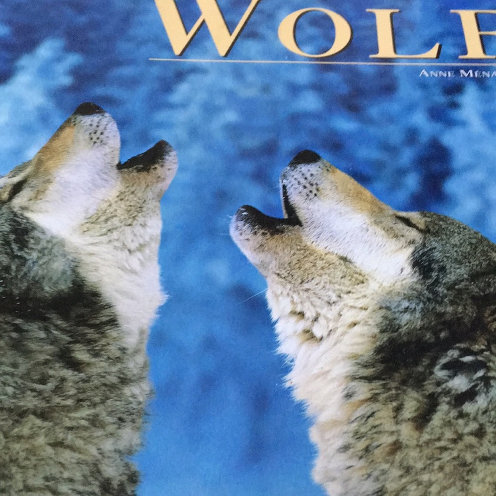 Meet your Posher, Felicia